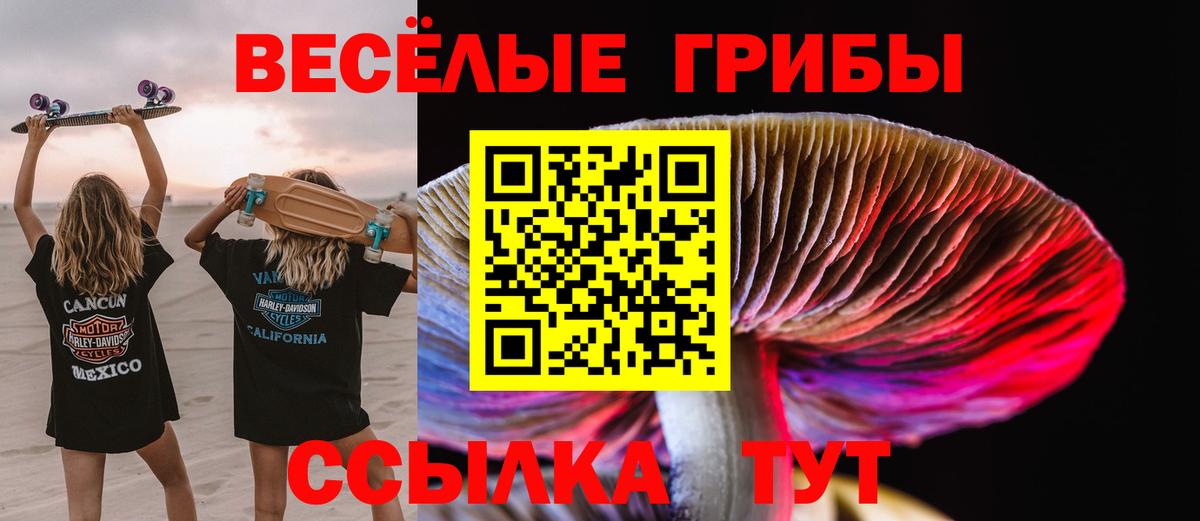 Псилоцибиновые грибы GOLDEN TEACHER Алексеевка
